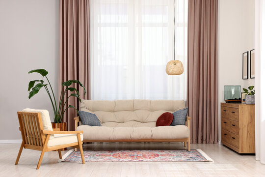 Beautiful rug, furniture and plant near window indoors