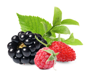 Wild berries. Blackberry, raspberry, strawberry and green leaves isolated on white