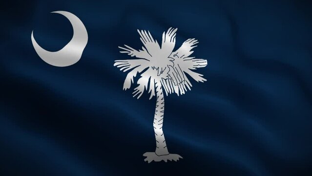 South Carolina flag waving animation, perfect loop, official colors, 4K video