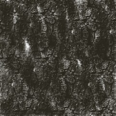 Dense texture for wood and stone surfaces in graphics.