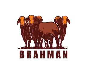 THE BEST BEED MAKER, BRAHMAN CATTLE LOGO, silhouette of great new breed brahman cow vector illustrations.