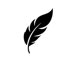 feather logo