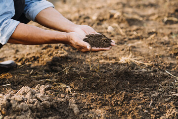 Male hands touching soil on the field. Expert hand of farmer checking soil health before growth a seed of vegetable or plant seedling. Business or ecology concept.