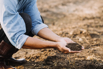Male hands touching soil on the field. Expert hand of farmer checking soil health before growth a seed of vegetable or plant seedling. Business or ecology concept.