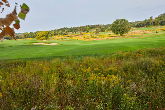 Golf course in peak condition with very green grass and bright yellow wild flowers on a windy day near Minneapolis Minnesota USA
