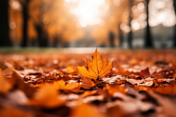 Close Up of Orange Fall Leaves on the Ground, Blurred Background, Generative AI