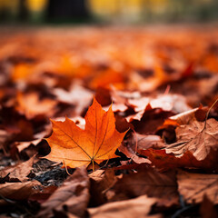 Close Up of Orange Fall Leaves on the Ground, Blurred Background, Generative AI