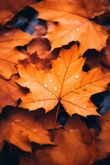 Close Up of Orange Fall Leaves on the Ground, Blurred Background, Generative AI