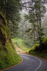 road in the mountains on the Oregon Coast
