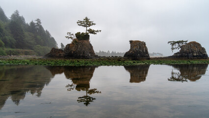 Seastacks on the Oregon Coast on a foggy day