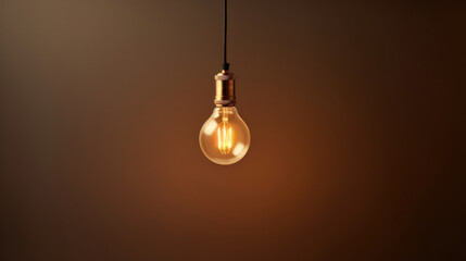 A minimalist pendant light with a single exposed bulb