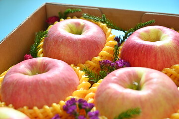 beautiful pink apple in the box on blue background
