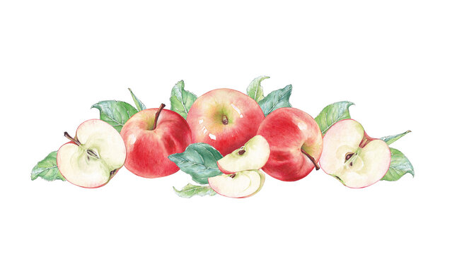 Watercolor border made of red apple, apple pieces and leaves