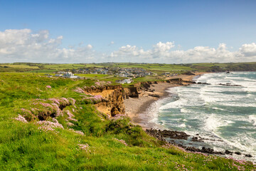 Widemouth Bay near Bude, Cornwall, from the cliffs, with sea pinks in flower, and waves sweeping in to the beach.
