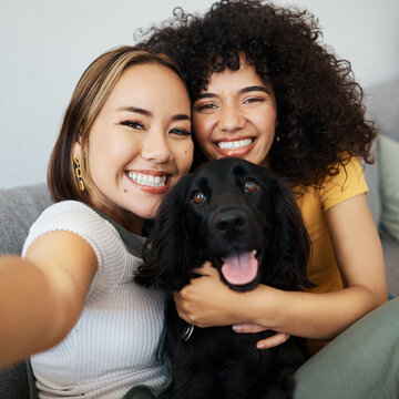 Dog, portrait or lesbian couple in selfie in home to relax together on social media for profile picture or memory. Lgbtq, pet animal or happy women smile in photo with bond or care in living room