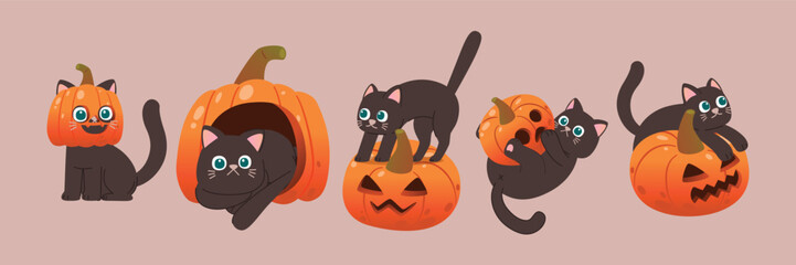 Spooky Fun: Adorable Black Cat in with Pumpkin, jack-o'-lantern, Halloween Autumn Festive, Vector, Illustration