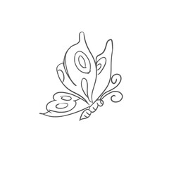 Butterfly illustration in line art style.  Line art of butterfly icon.