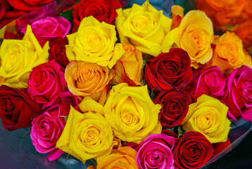 bouquet of colorful roses as design background