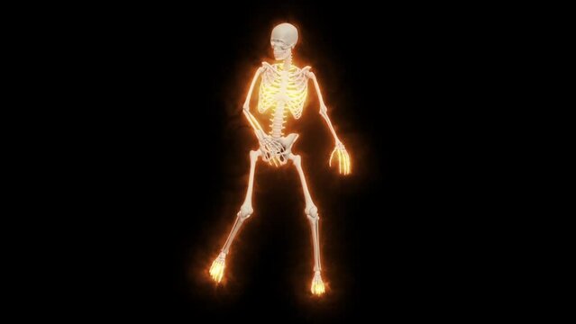 Dancing Fire Skeletons 3D. 3D Skeletons Fanny Dance Animation. Skeleton 3D dance. Fire dance.