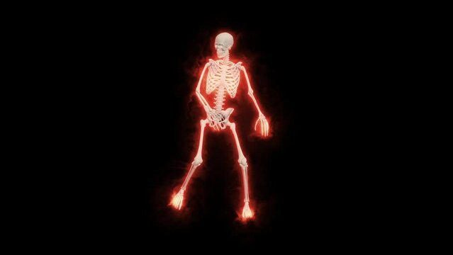 Dancing Fire Skeletons 3D. 3D Skeletons Fanny Dance Animation. Skeleton 3D dance. Fire dance.