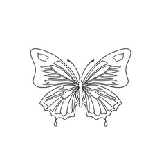 Butterfly icon. Butterfly illustration in line art style. Line art of butterfly icon.	