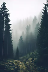 Wandcirkels aluminium Forested mountain slope in low lying cloud with the conifers shrouded in mist in a scenic landscape © Daniil