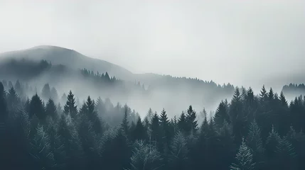 Rolgordijnen Forested mountain slope in low lying cloud with the conifers shrouded in mist in a scenic landscape © Daniil