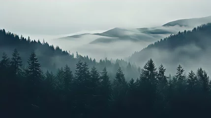 Gordijnen Forested mountain slope in low lying cloud with the conifers shrouded in mist in a scenic landscape © Daniil