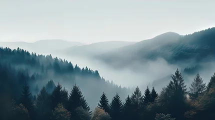 Schilderijen op glas Forested mountain slope in low lying cloud with the conifers shrouded in mist in a scenic landscape © Daniil