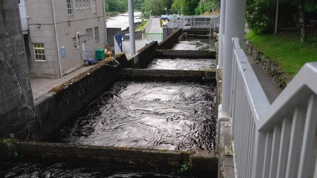 Pools or chambers with flowing water in the salmon ladder at Pitlochry dam