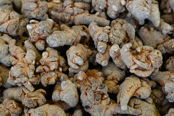 Closeup of Dried Panax notoginseng roots texture backgrouond.