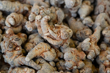 Closeup of Dried Panax notoginseng roots texture backgrouond.
