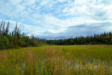 Fototapeta premium Katmai National Reserve