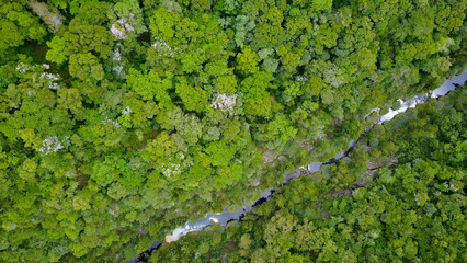 Top view of the vast Amazon jungle. Aerial view of Amazon rainforest.
