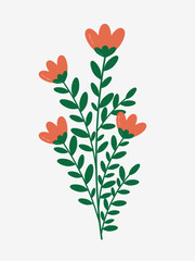 Autumn flowers. Classic flower arrangement. Vector botanical flower illustration. Colorful autumn flower.