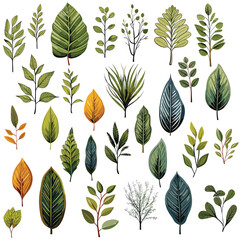 leaf plant illustration nature vector design set decoration summer tree green