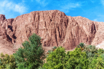 Fototapeta premium todgha gorge,a canyon in the high atlas mountains in morocco