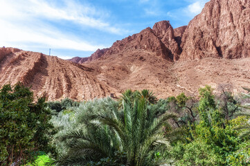 Fototapeta na wymiar todgha gorge,a canyon in the high atlas mountains in morocco