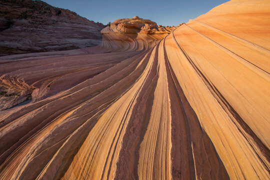 The Second Wave in late afternoon light