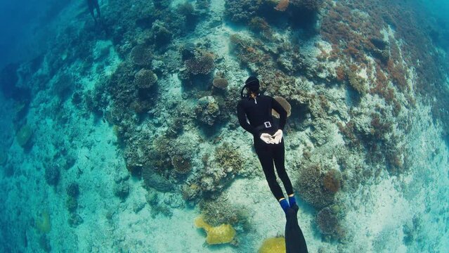 Freediver glides underwater over the vivid coral reef in the Komodo National Park in Indonesia