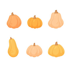 Set of pumpkins isolated on white background. Vector illustration.