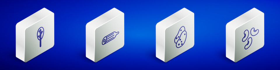Set Isometric line Spinach, Fresh cucumber, Potato and Beans icon. Vector
