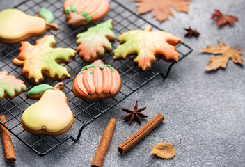 Multicolored autumn homemade cookies