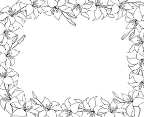 Lillie's line art flower background for wedding card or invitations. Hand drawn vector illustration template