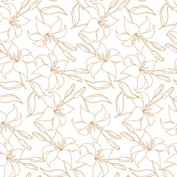 Lilly flower monochrome seamless pattern for textile or wallpaper, floral hand drawn line art vector background