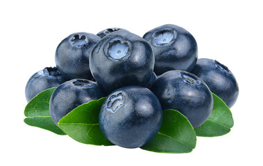 Blueberry collection isolated on transparent png