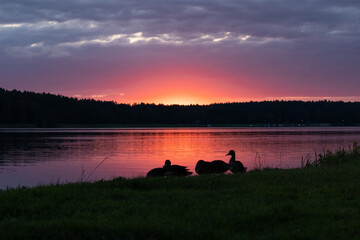 Wschodzące słońce nad jeziorem © Bogdan