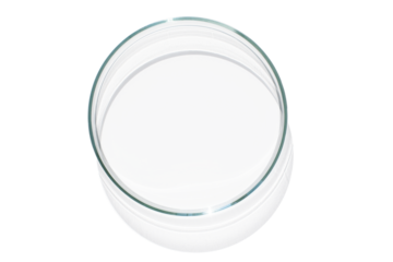 Empty Petri dish. With transparent bottom. on isolated transparent background