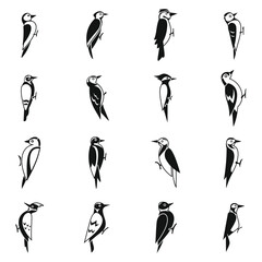 Woodpecker icons set simple vector. Animal bird. Forest nature