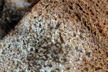 Black rye bread covered with black mold